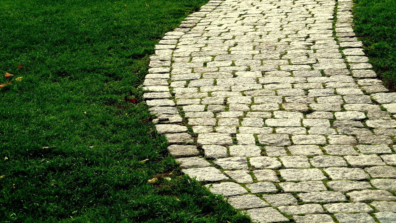 road grass cobblestone free photo