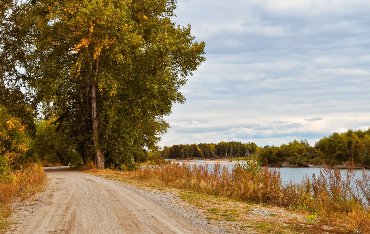 road autumn trees free photo