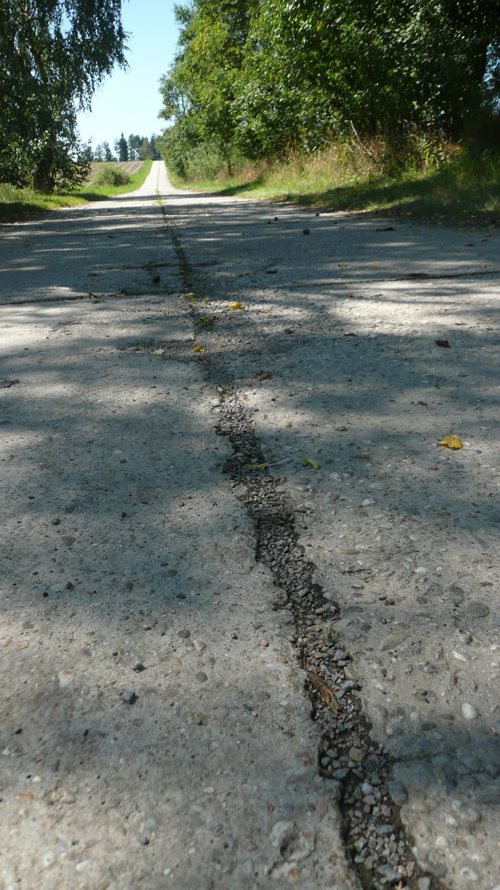 concrete road woodland free photo