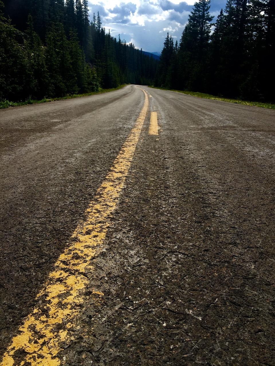 road beautiful summer free photo