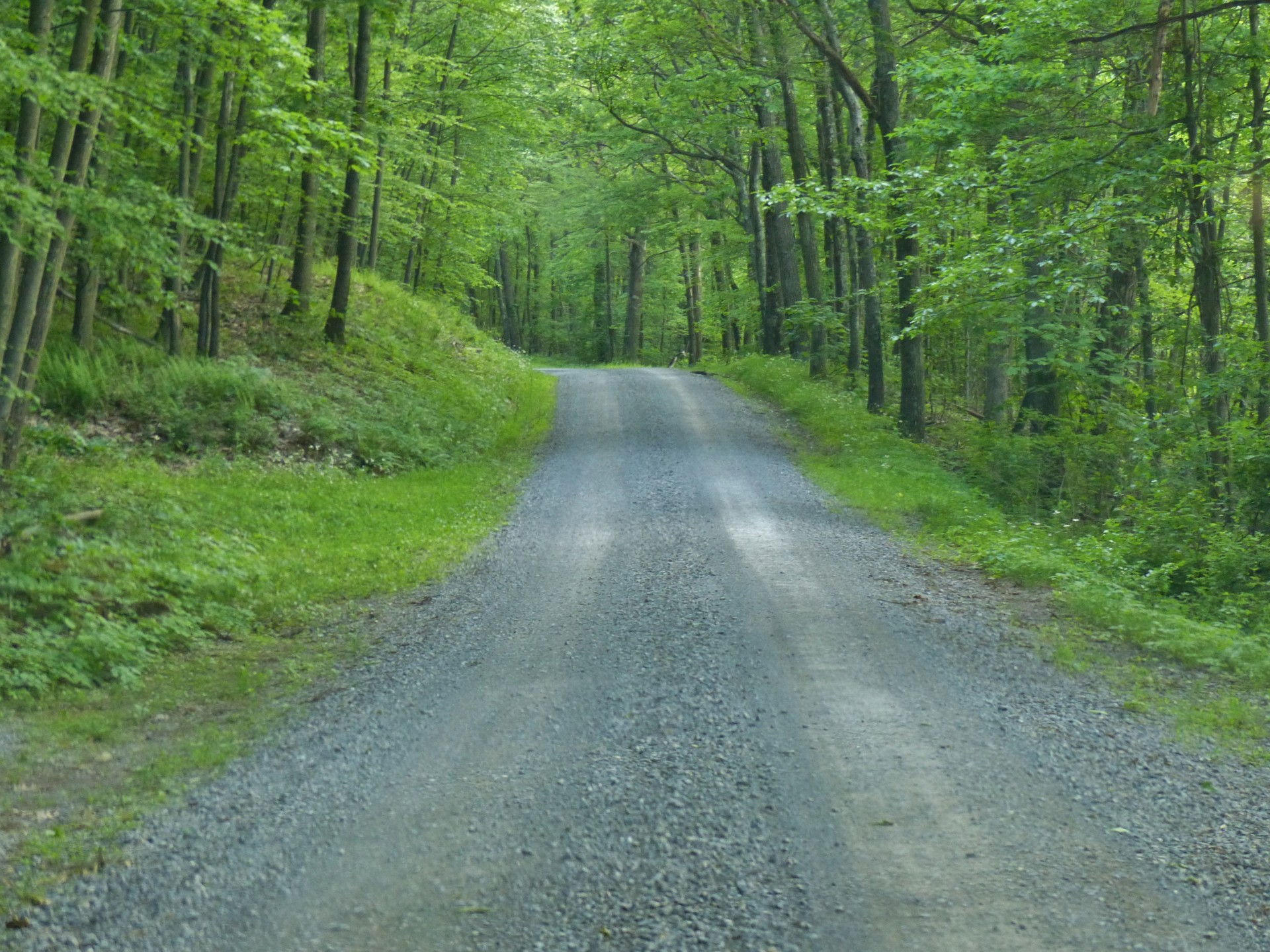 road dirt gravel free photo