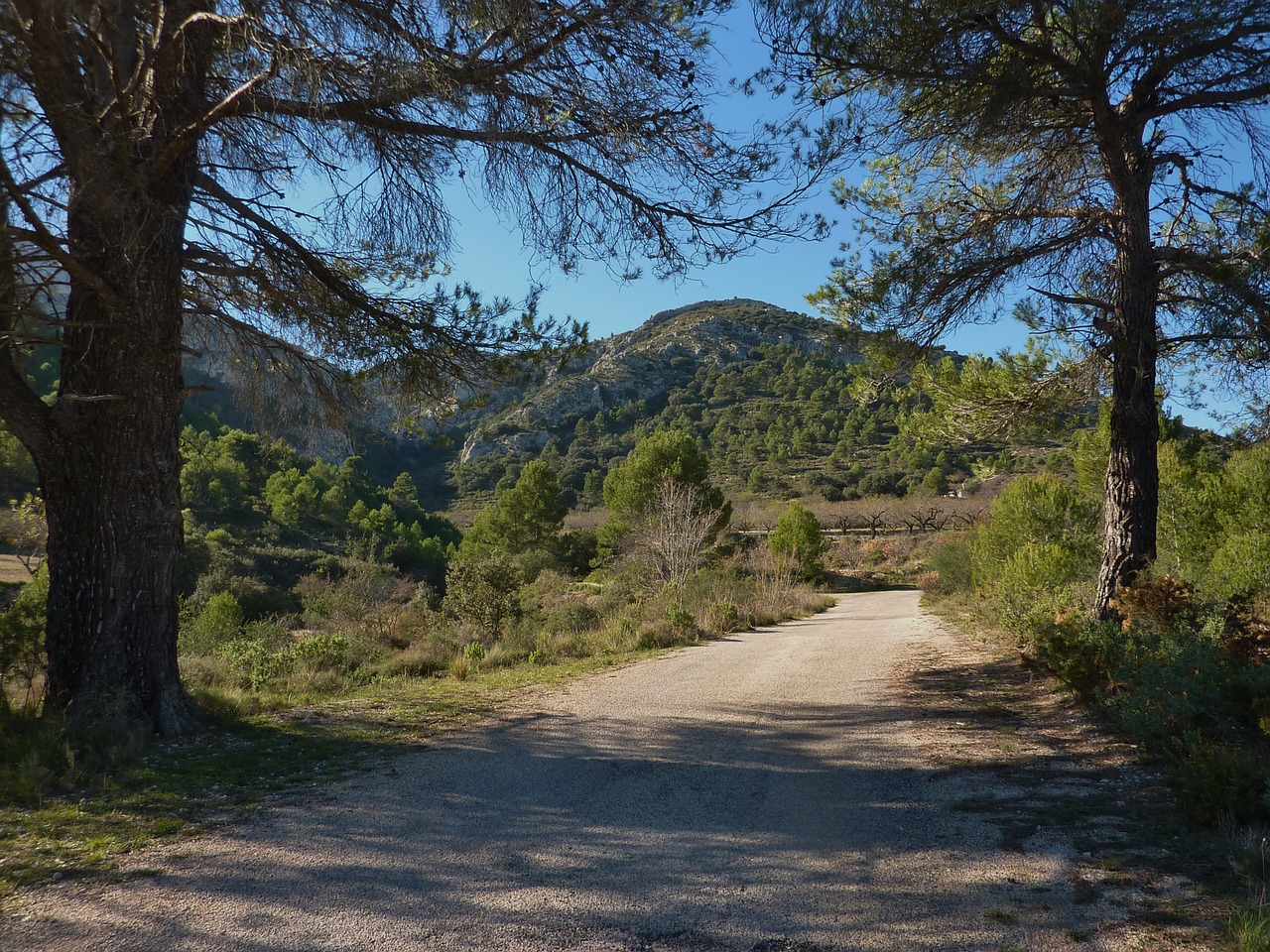 road track spain free photo