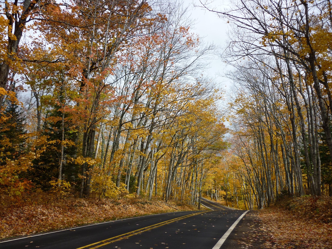 road winding autumn free photo