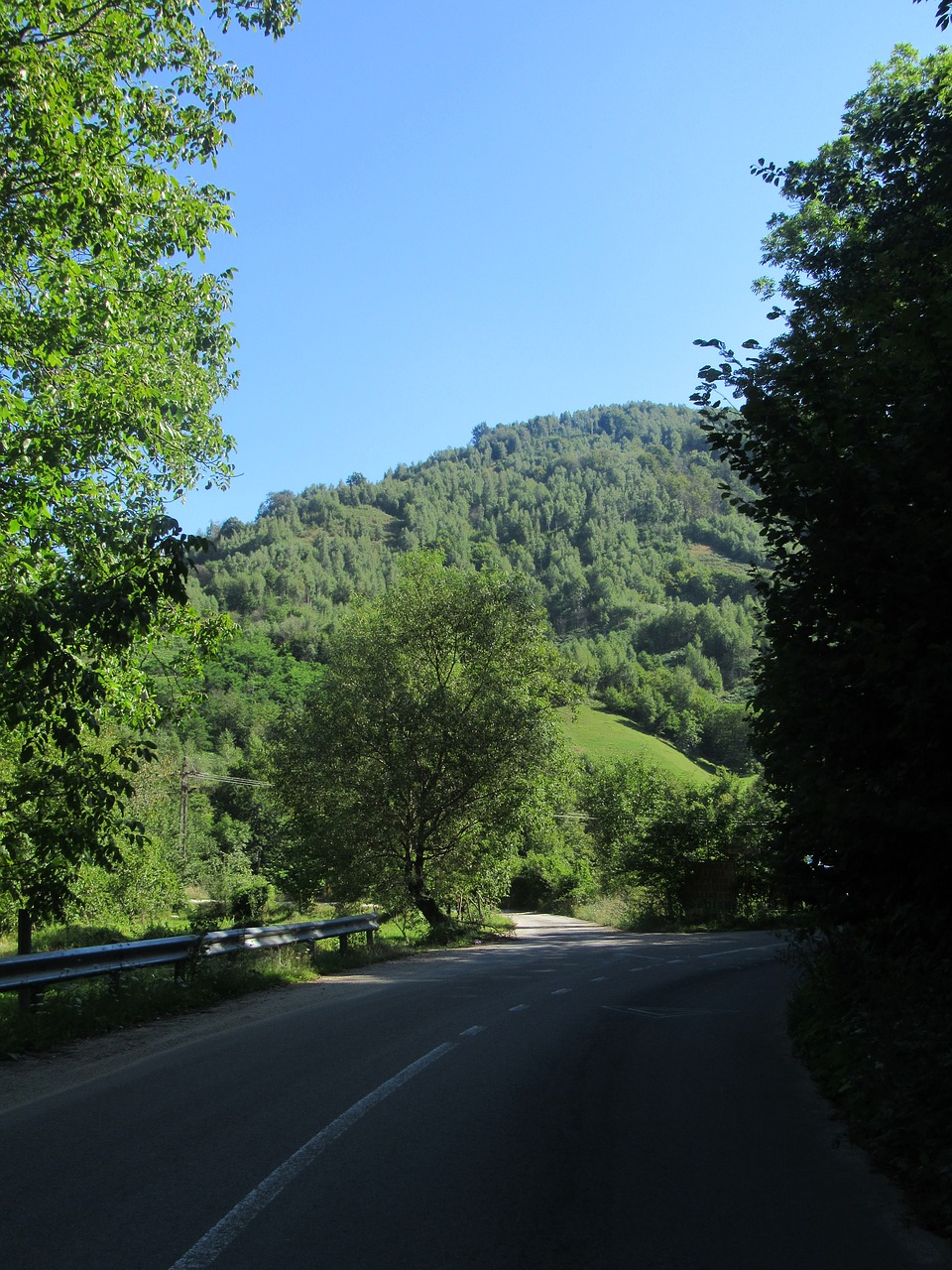 road the apuseni mountains transylvania free photo