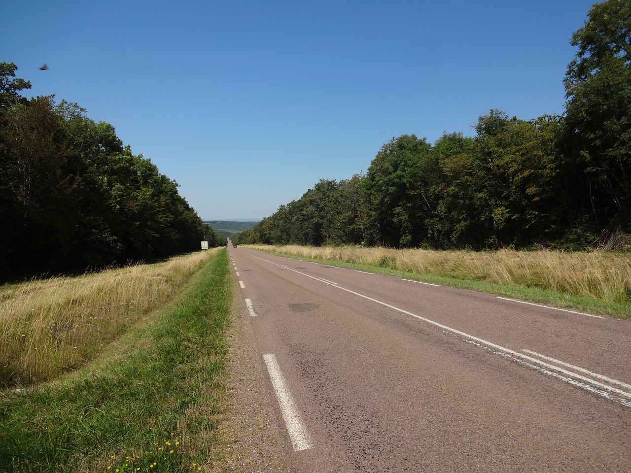 road field climb free photo