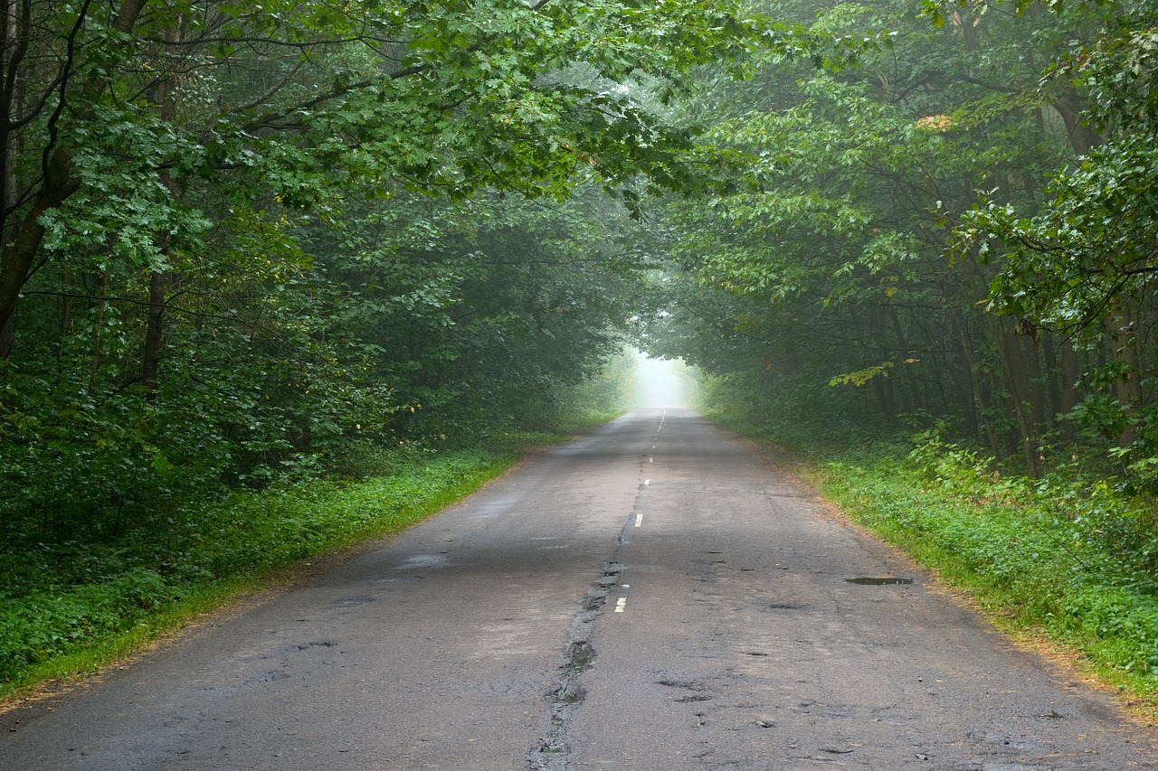 road the way motion free photo