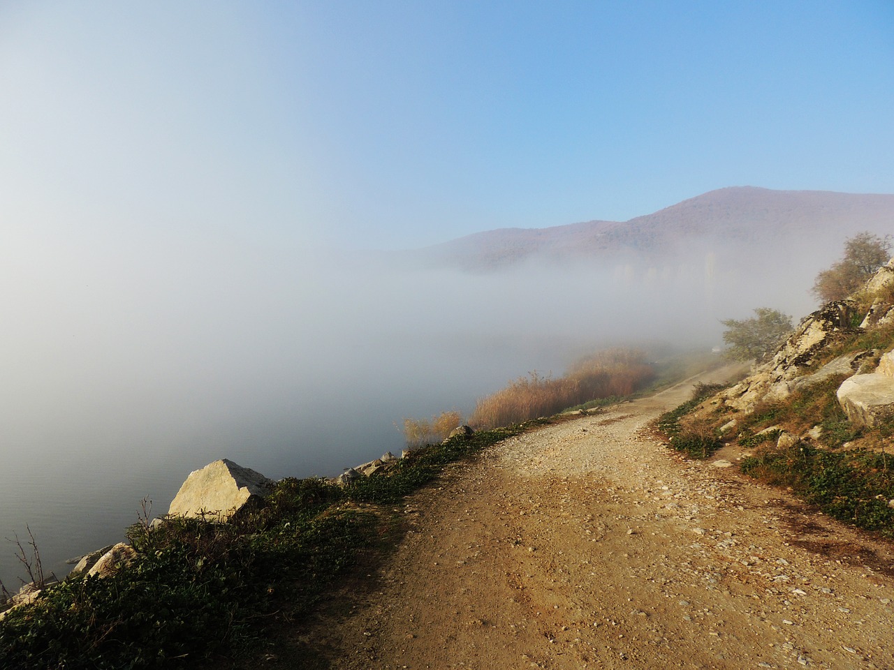 road fog morning free photo