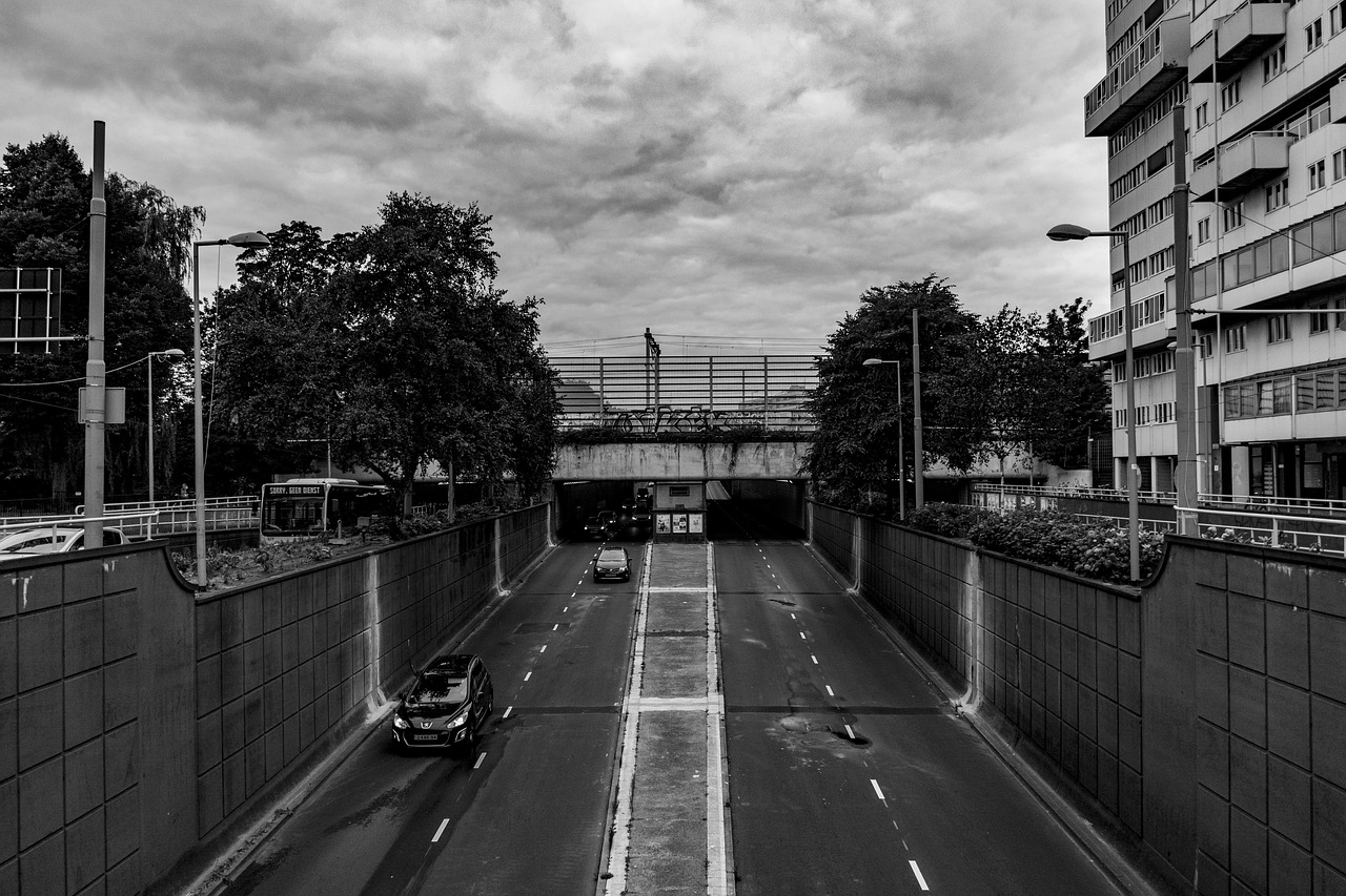 road cars rotterdam free photo