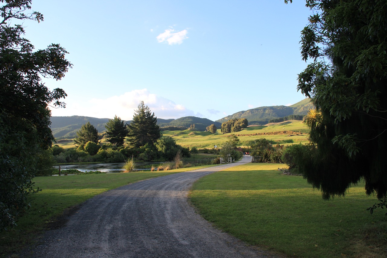 road nature new zealand free photo