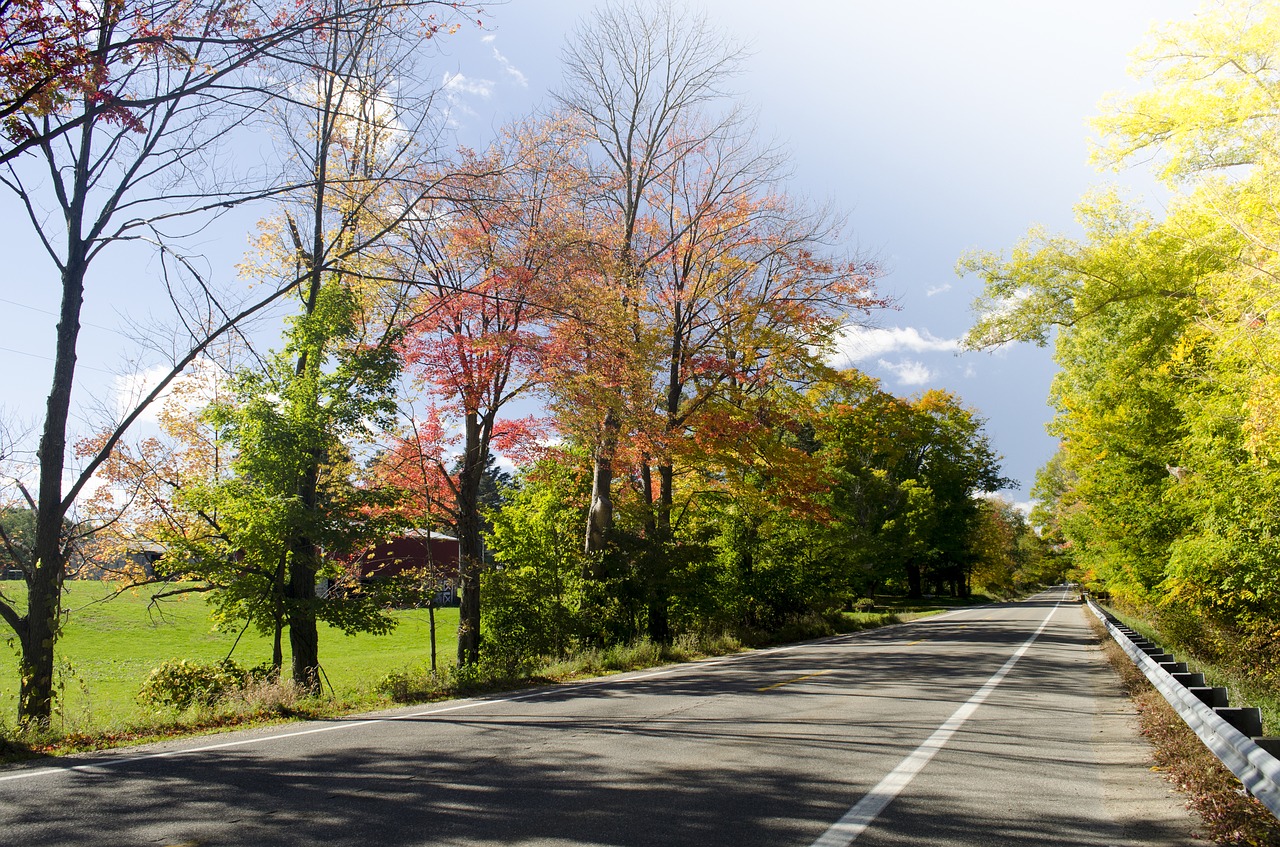 road fall countryside free photo