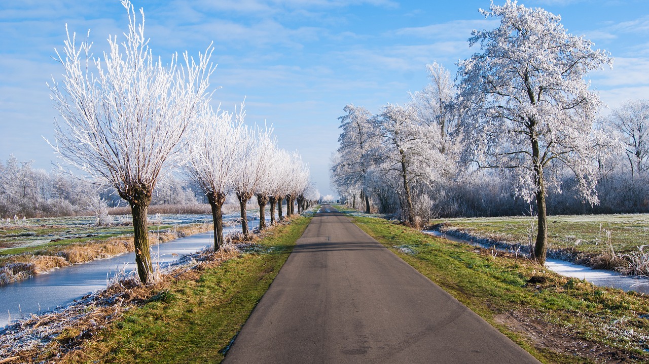 road snow winter free photo