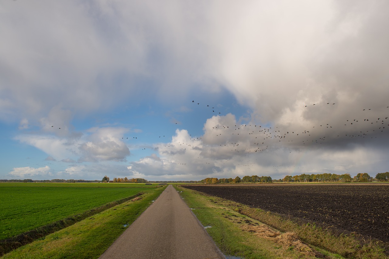 road dutch sky free photo