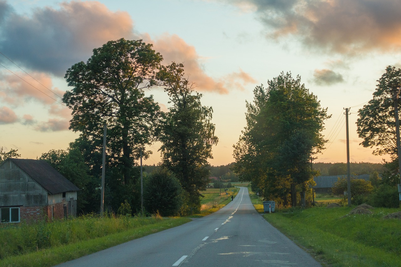 road tree landscape free photo