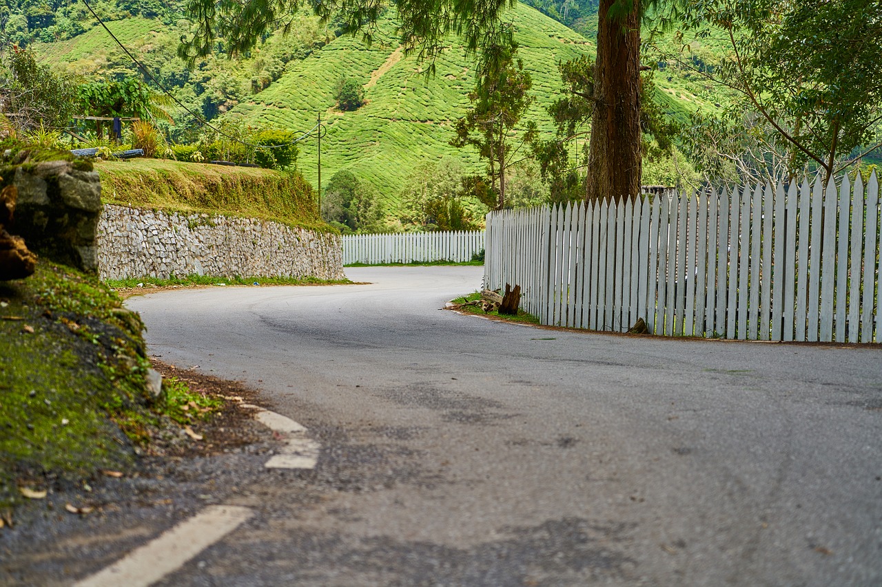 road fence asphalt free photo