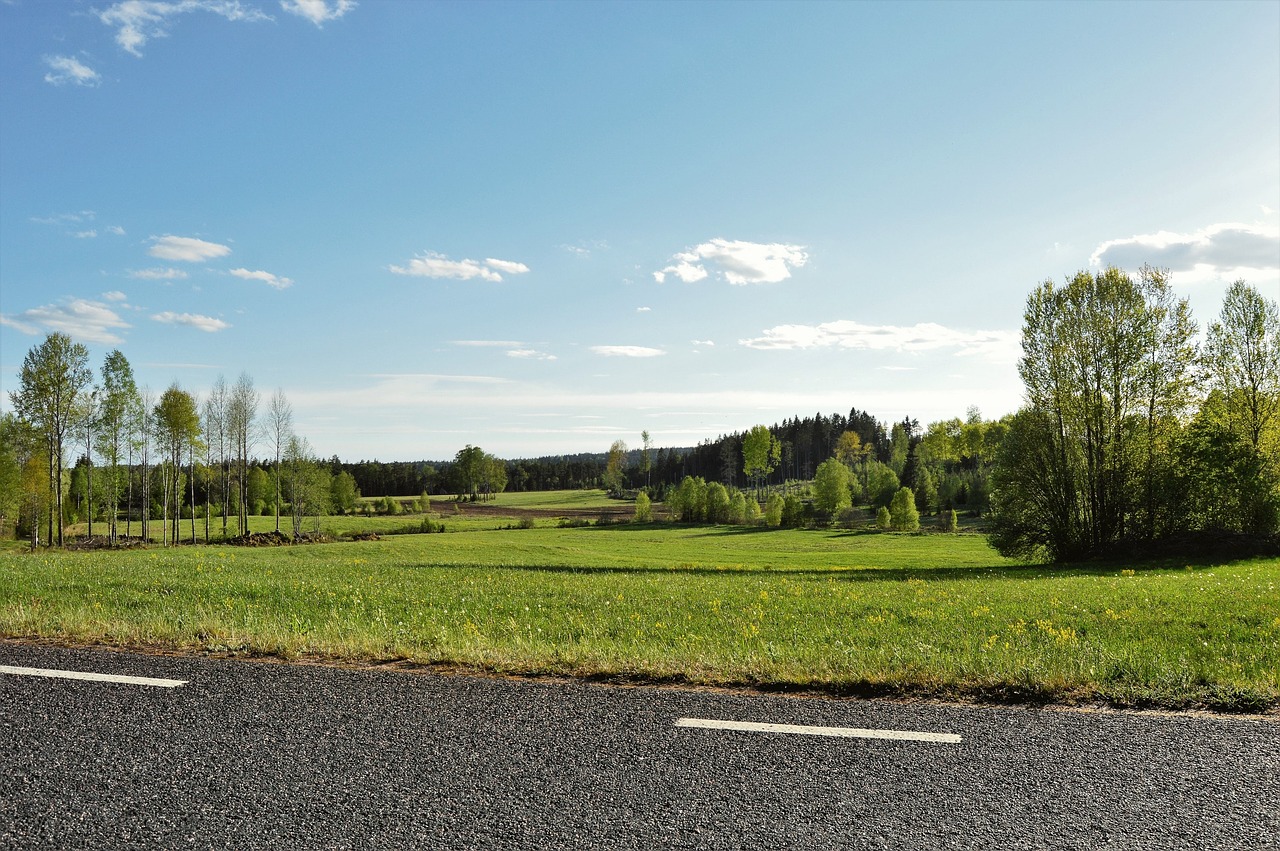 road bed grass free photo