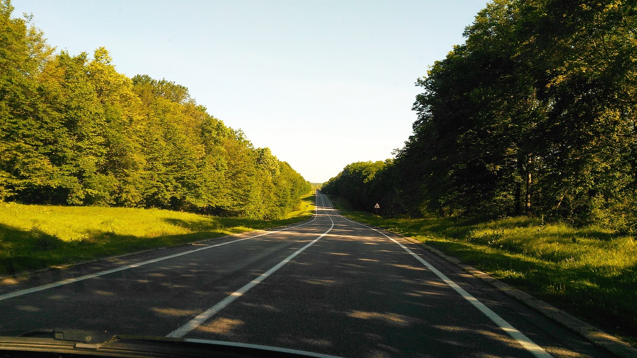 road forest blue sky free photo