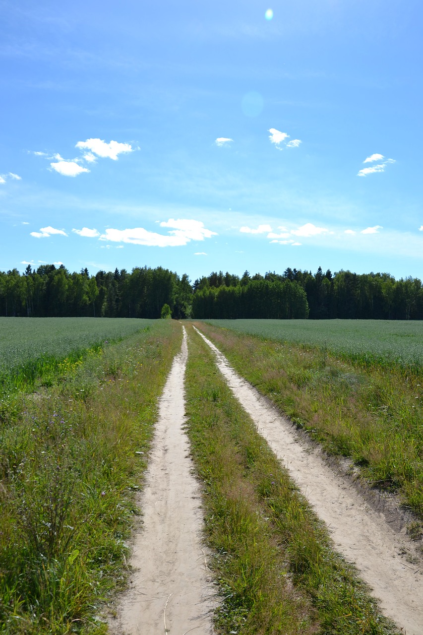 road nature the way free photo