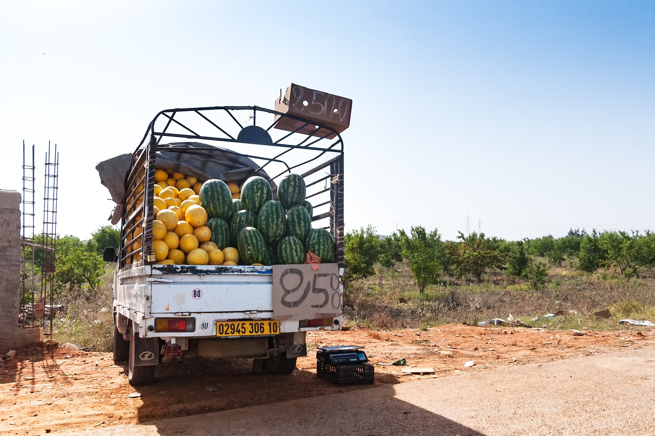 road tipaza algeria free photo