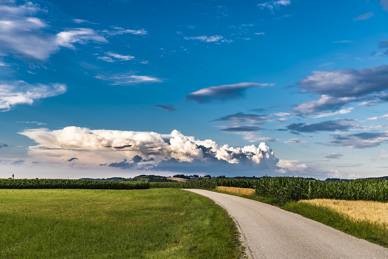 road sky fields free photo