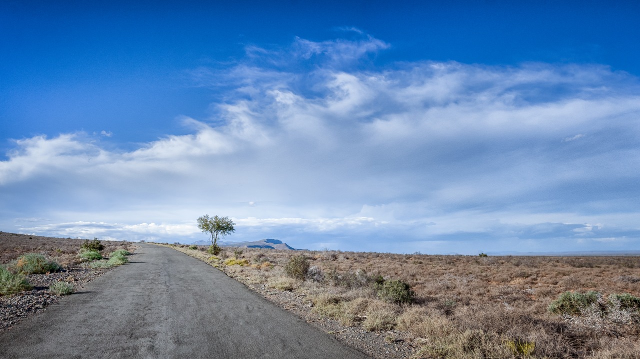 road tree clouds free photo