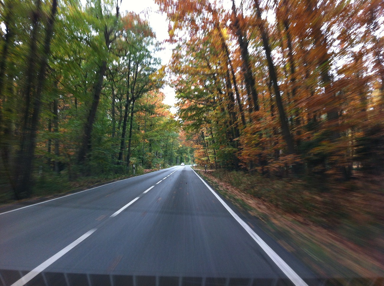 road autumn speed free photo
