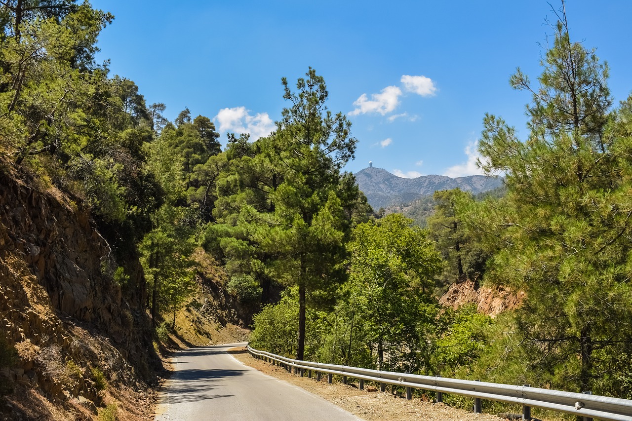 road forest countryside free photo