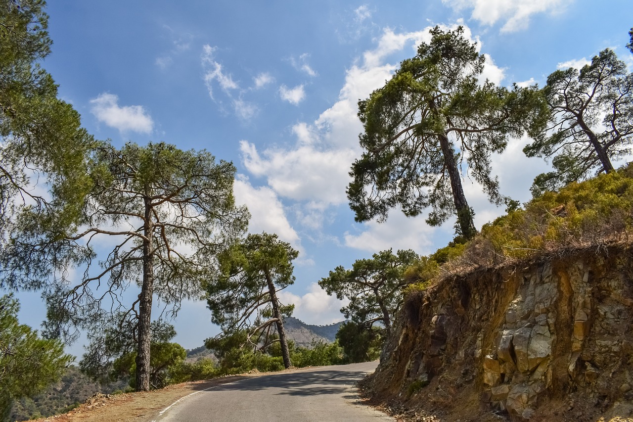 road trees sky free photo