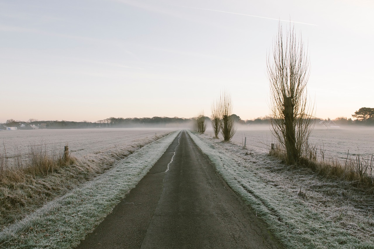 road path grass free photo