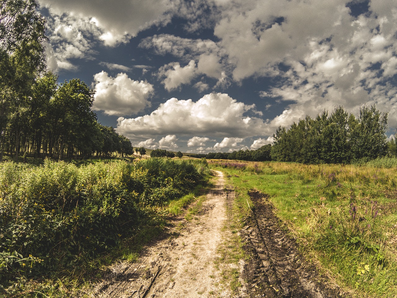 road dirt cloud free photo