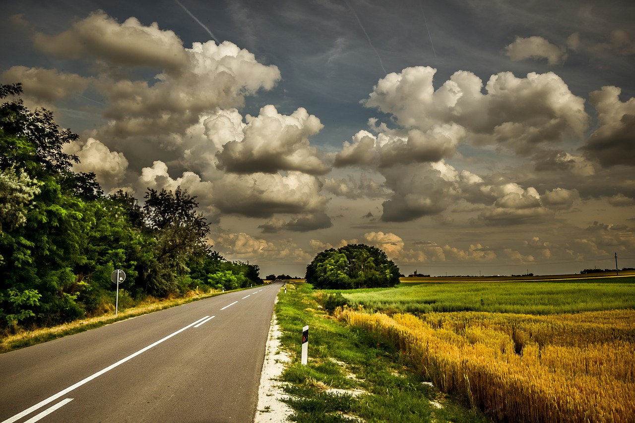 road green grass free photo