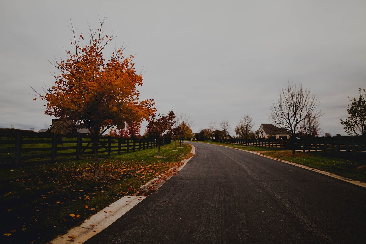 road path fence free photo