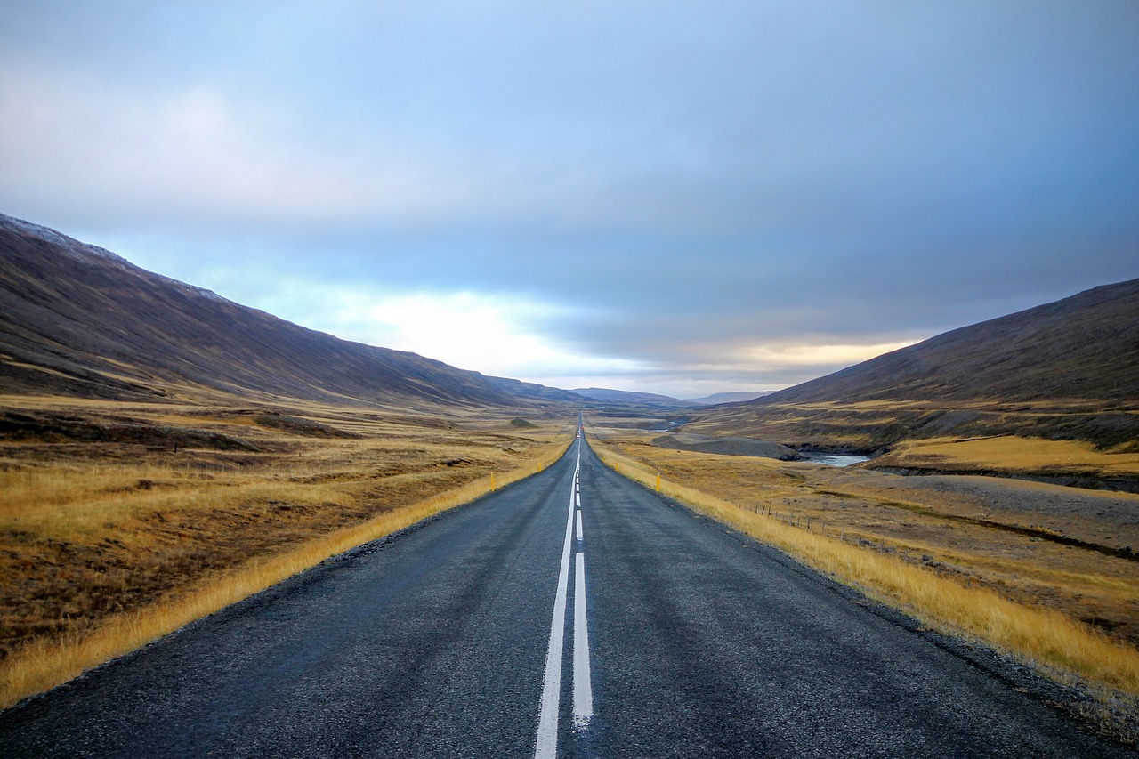 road path grass free photo