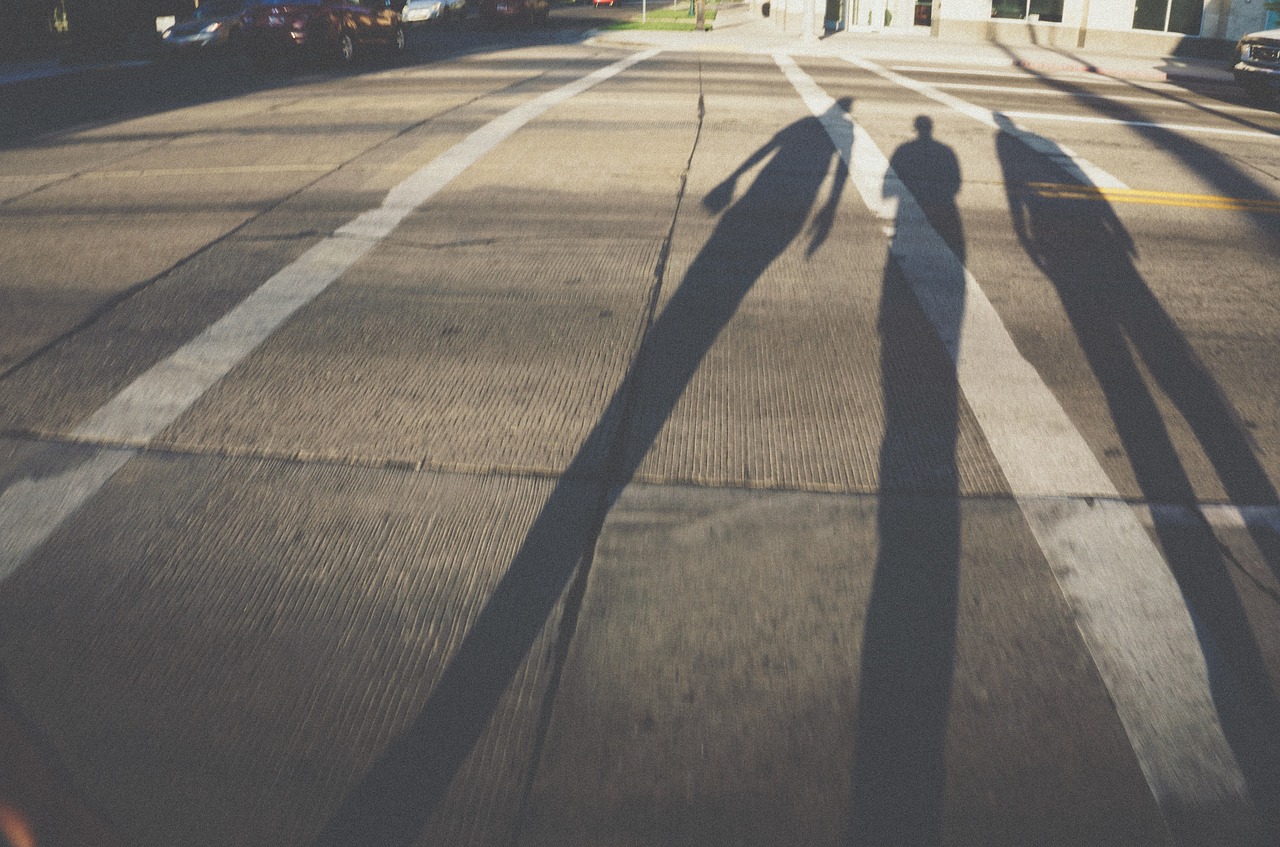 road path sunny free photo