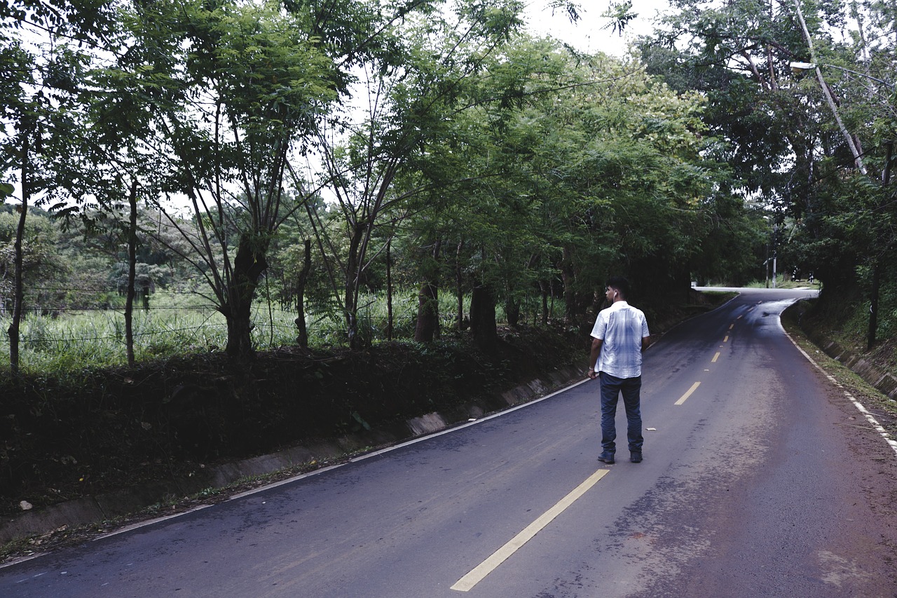 road path green free photo