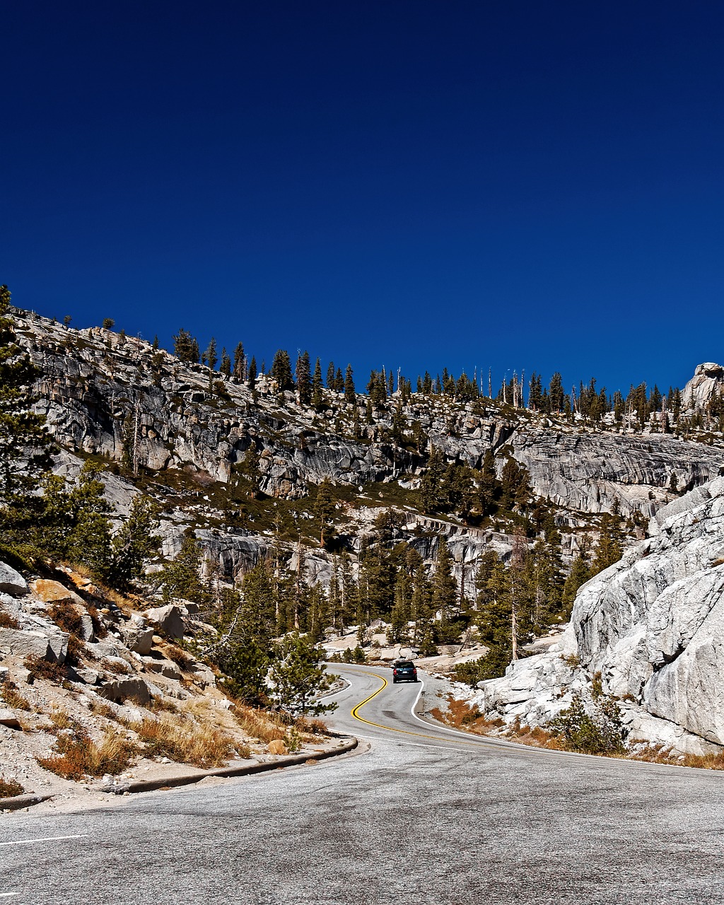 road california national park free photo