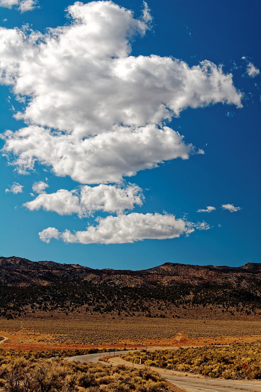 road desert landscape free photo