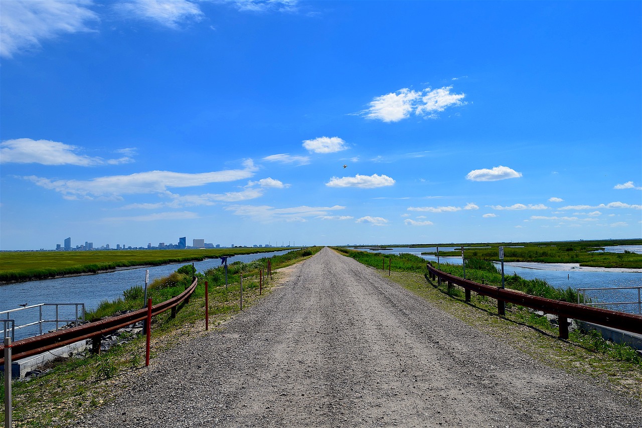 road distance horizon free photo