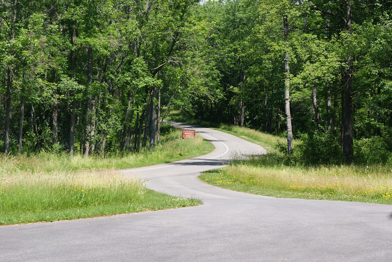 road landscape outdoor free photo