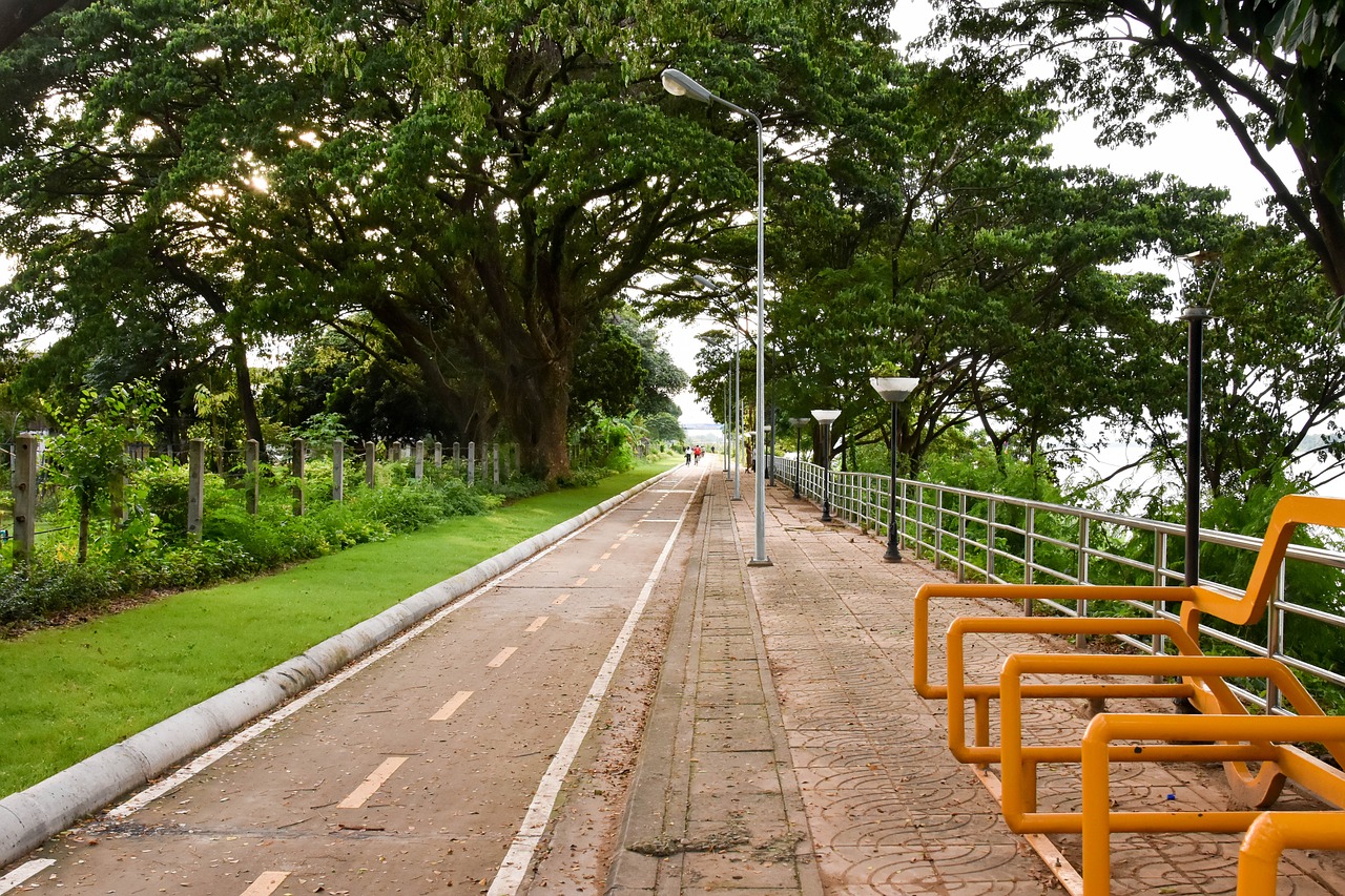 road bicycle-lane bike free photo