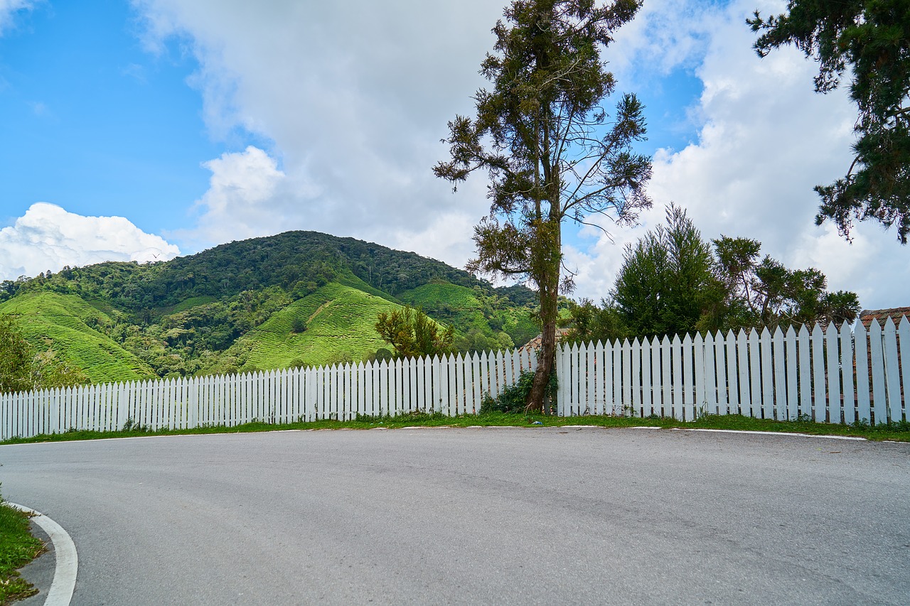 road fence go free photo