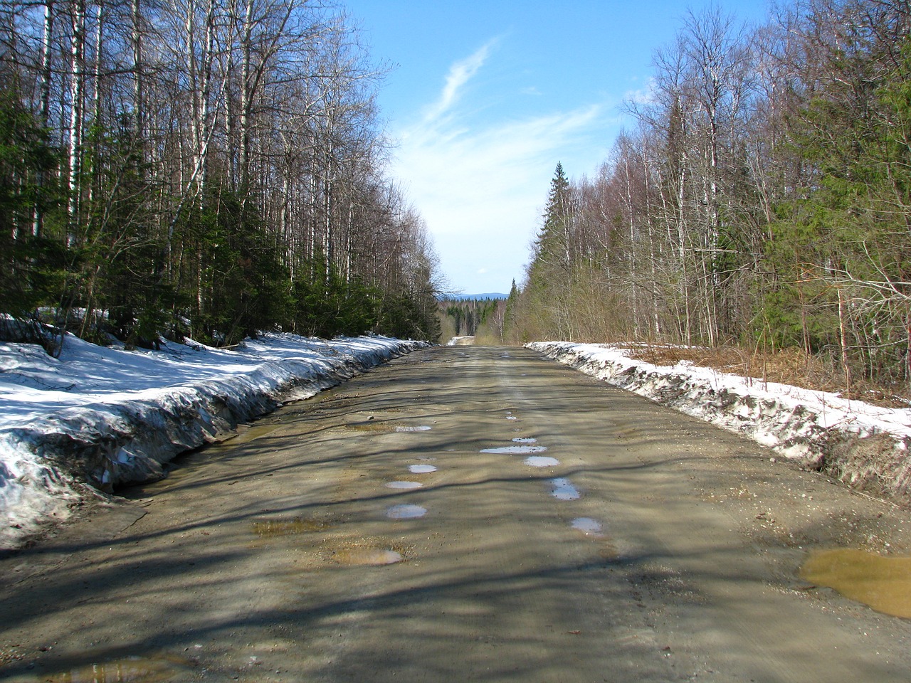 road snow spring free photo