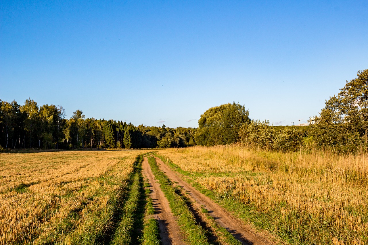 road rural village free photo