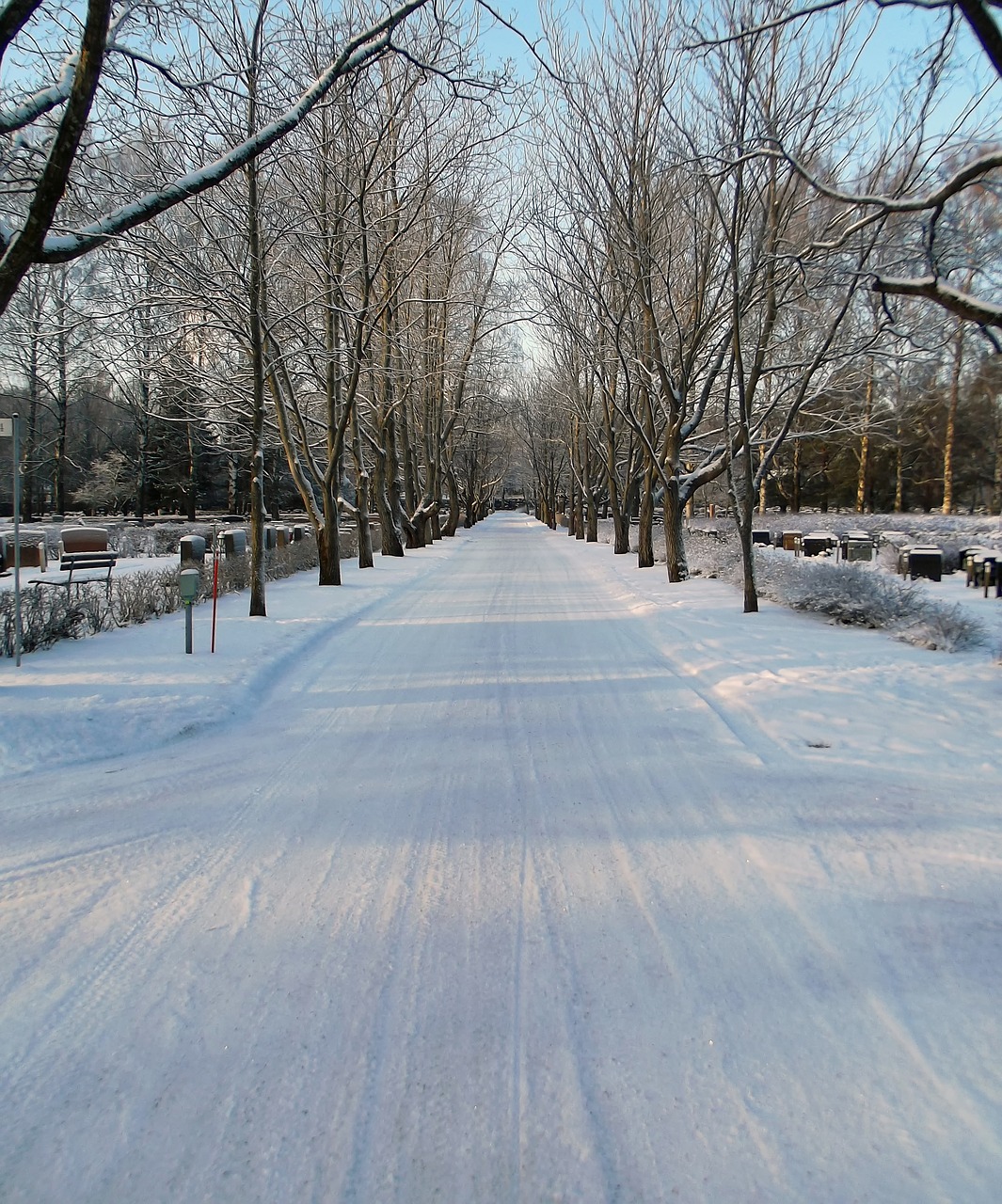 road alley wood free photo