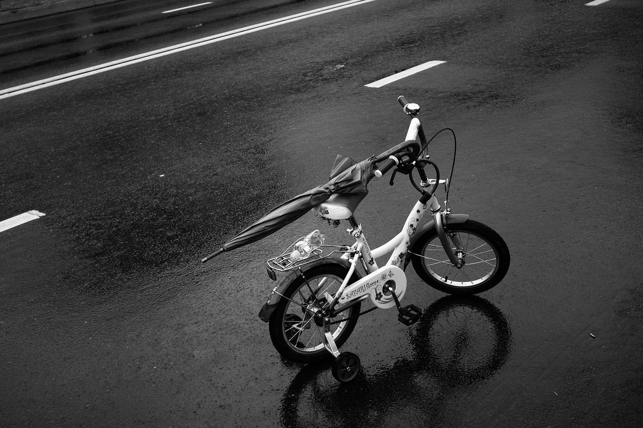 road rain bike free photo