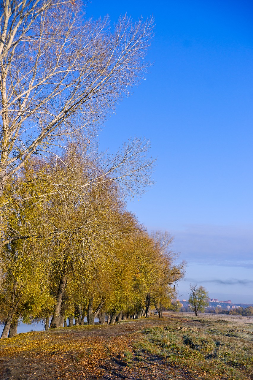 road village autumn free photo