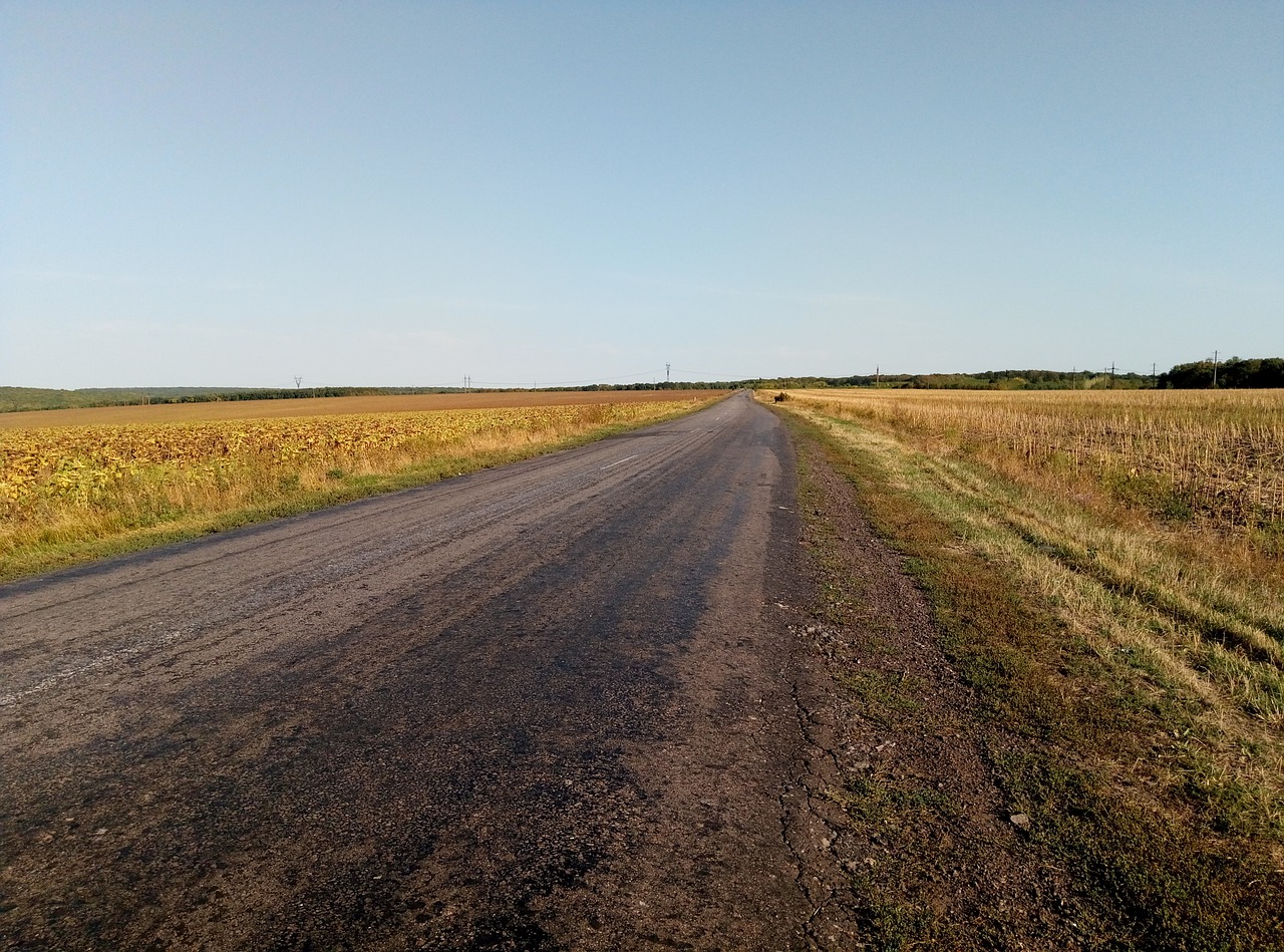 road field the way free photo