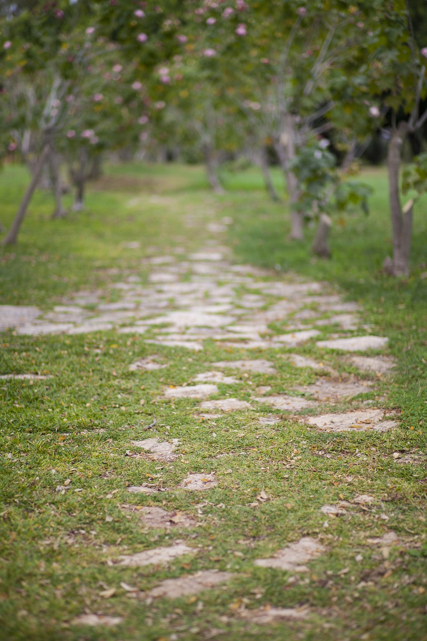 road nature stone free photo