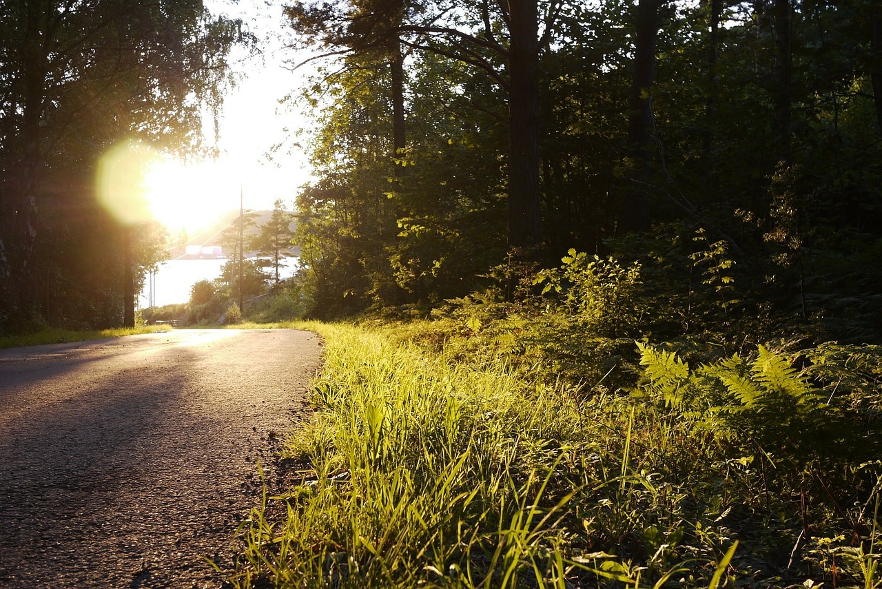 road sunset grass free photo