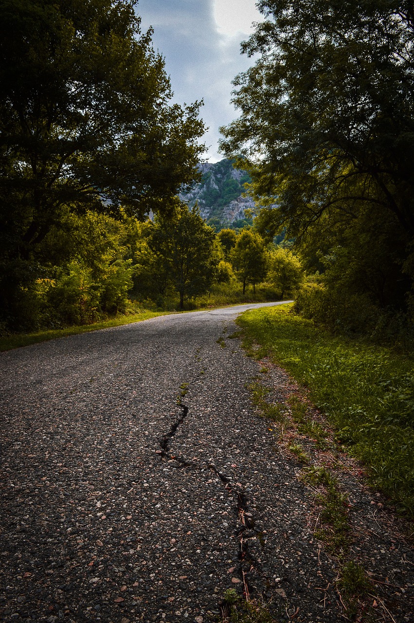 road mountain trees free photo