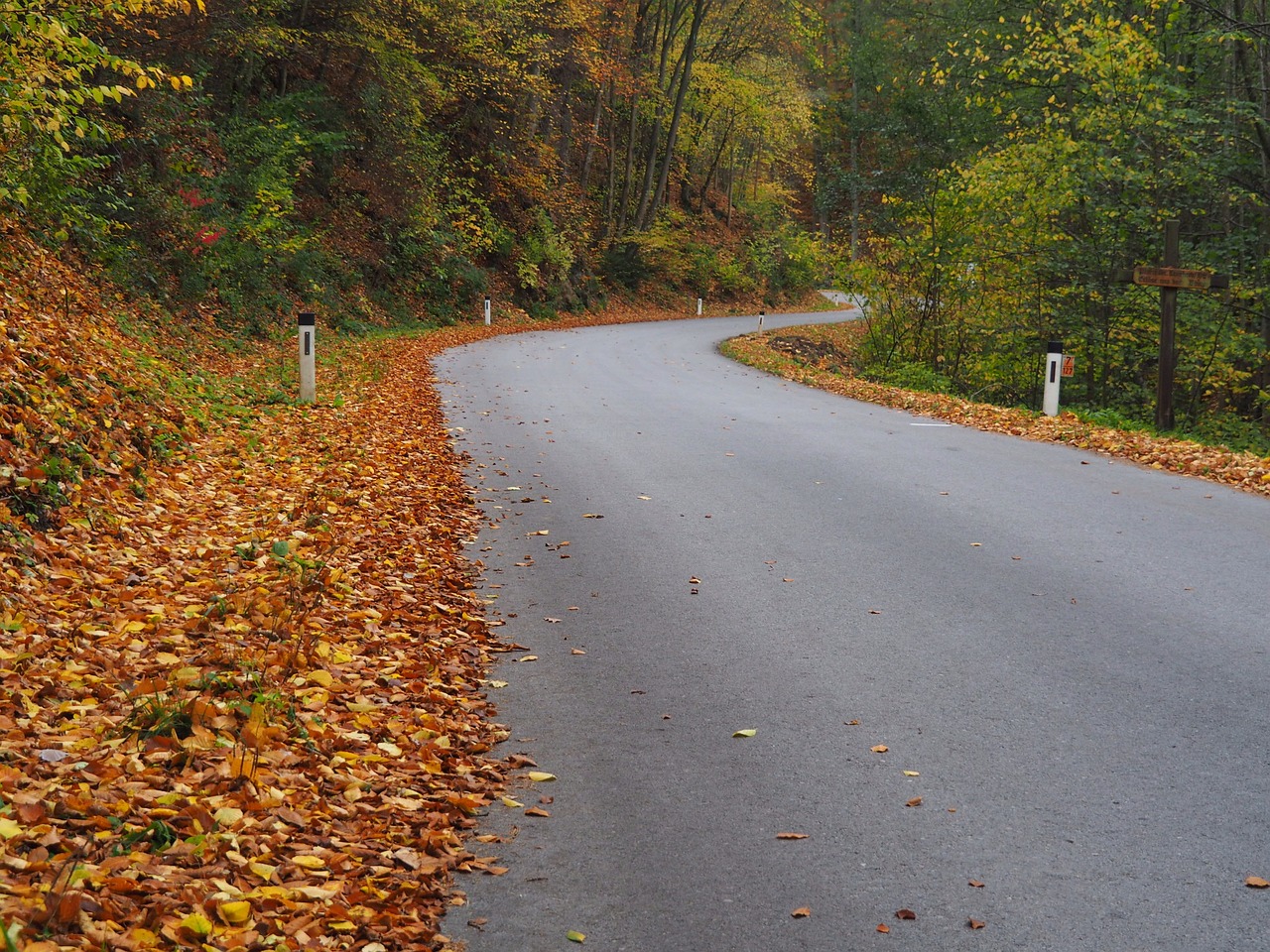 road speed traffic free photo